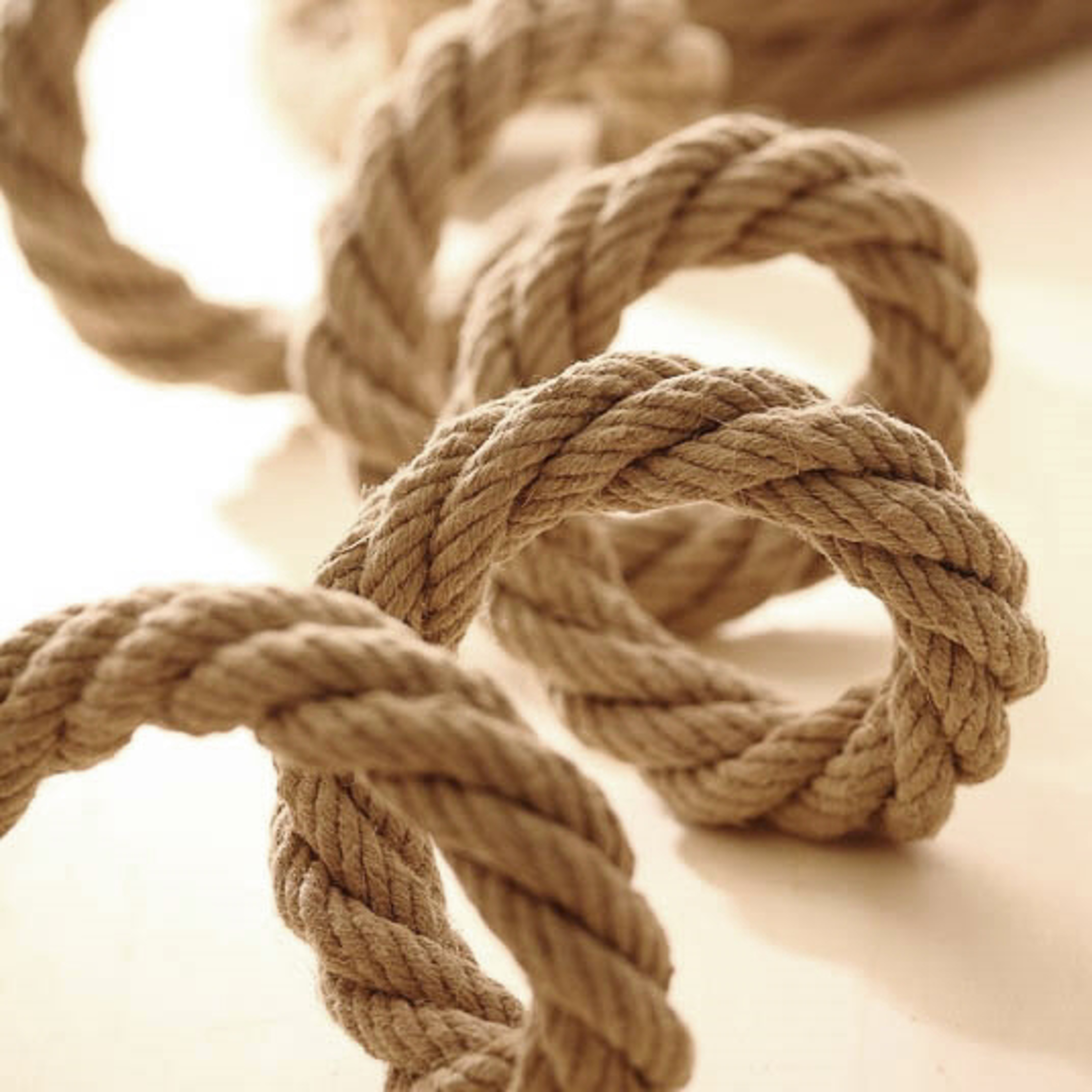6 Corde Ritorte 536