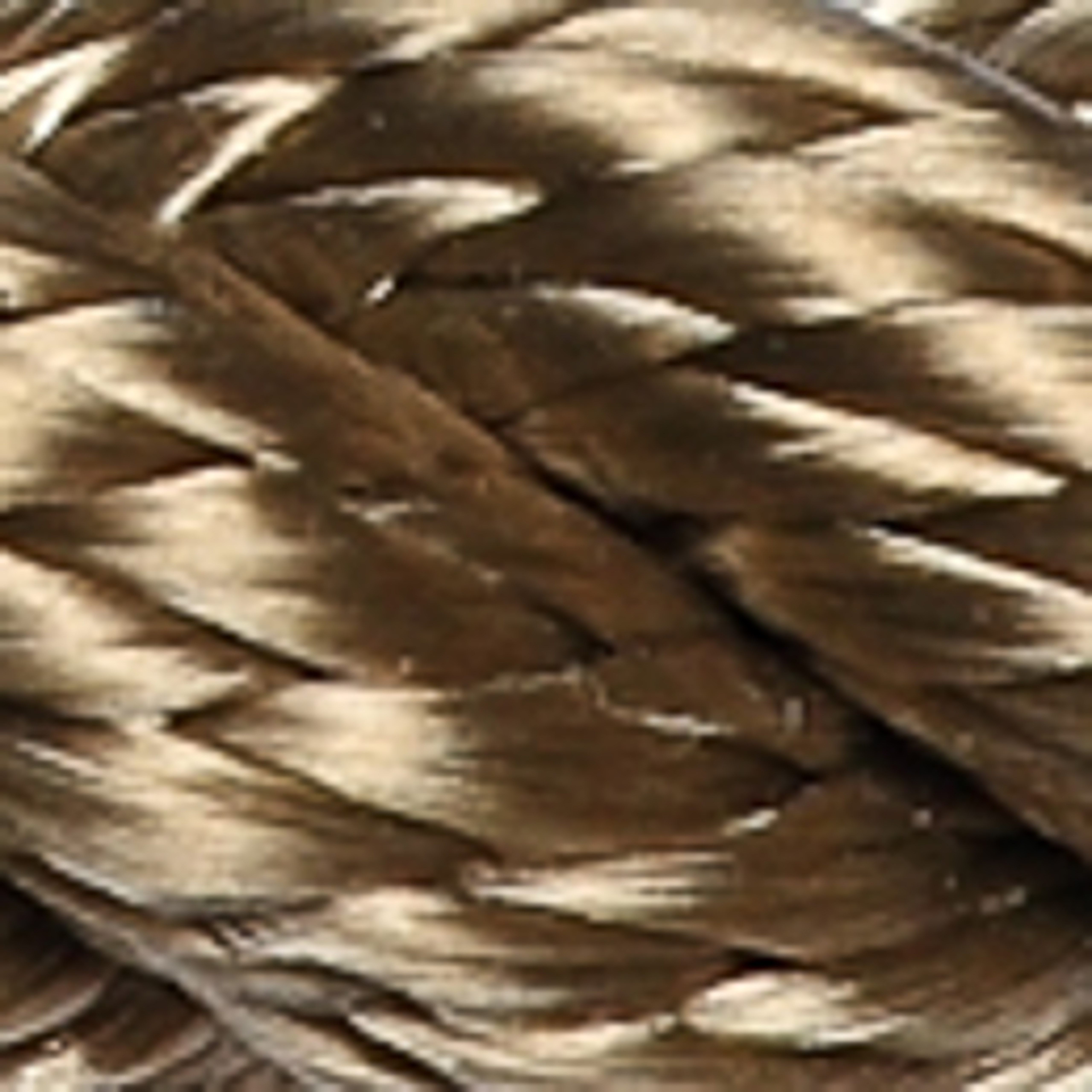 Hemp