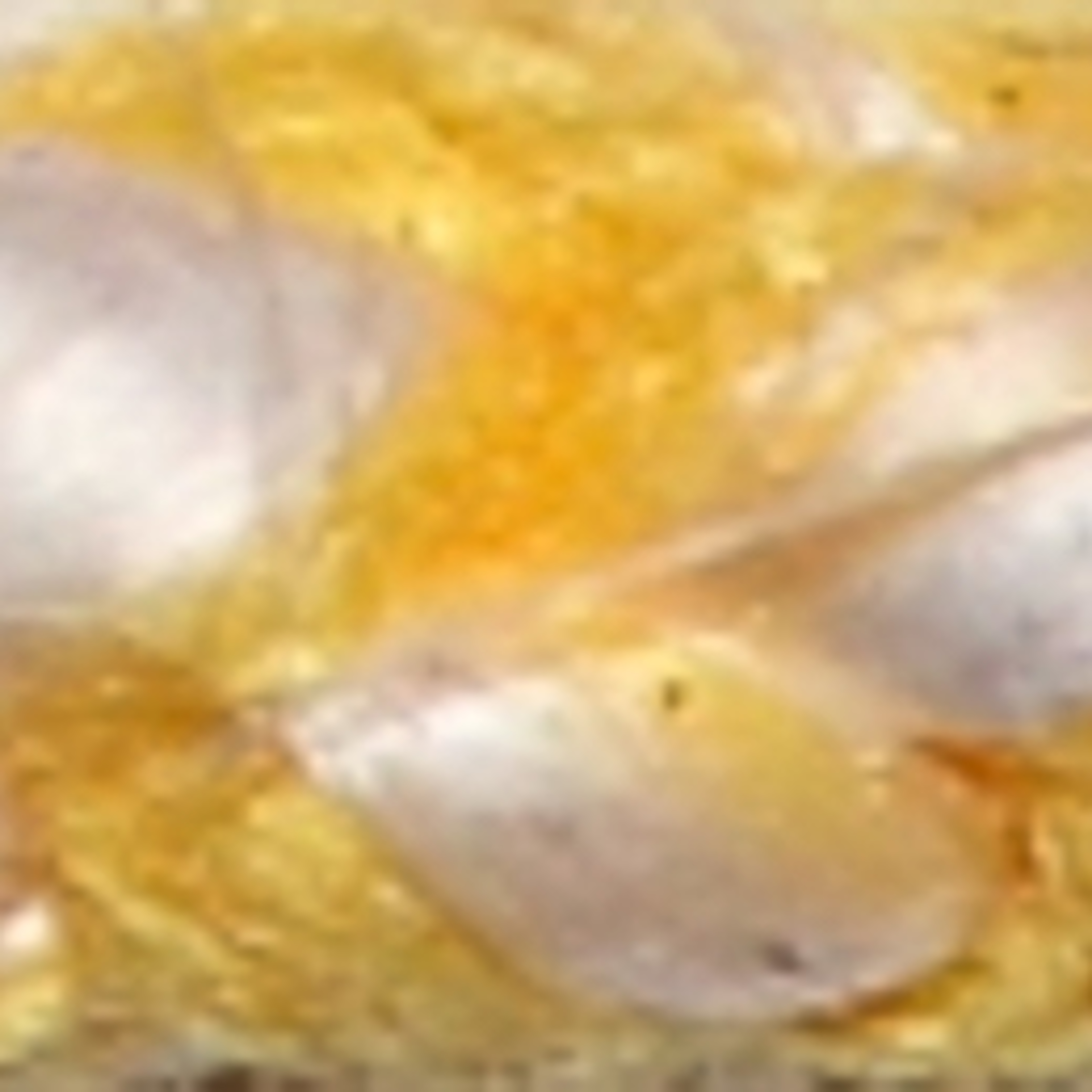 Bianco / giallo
