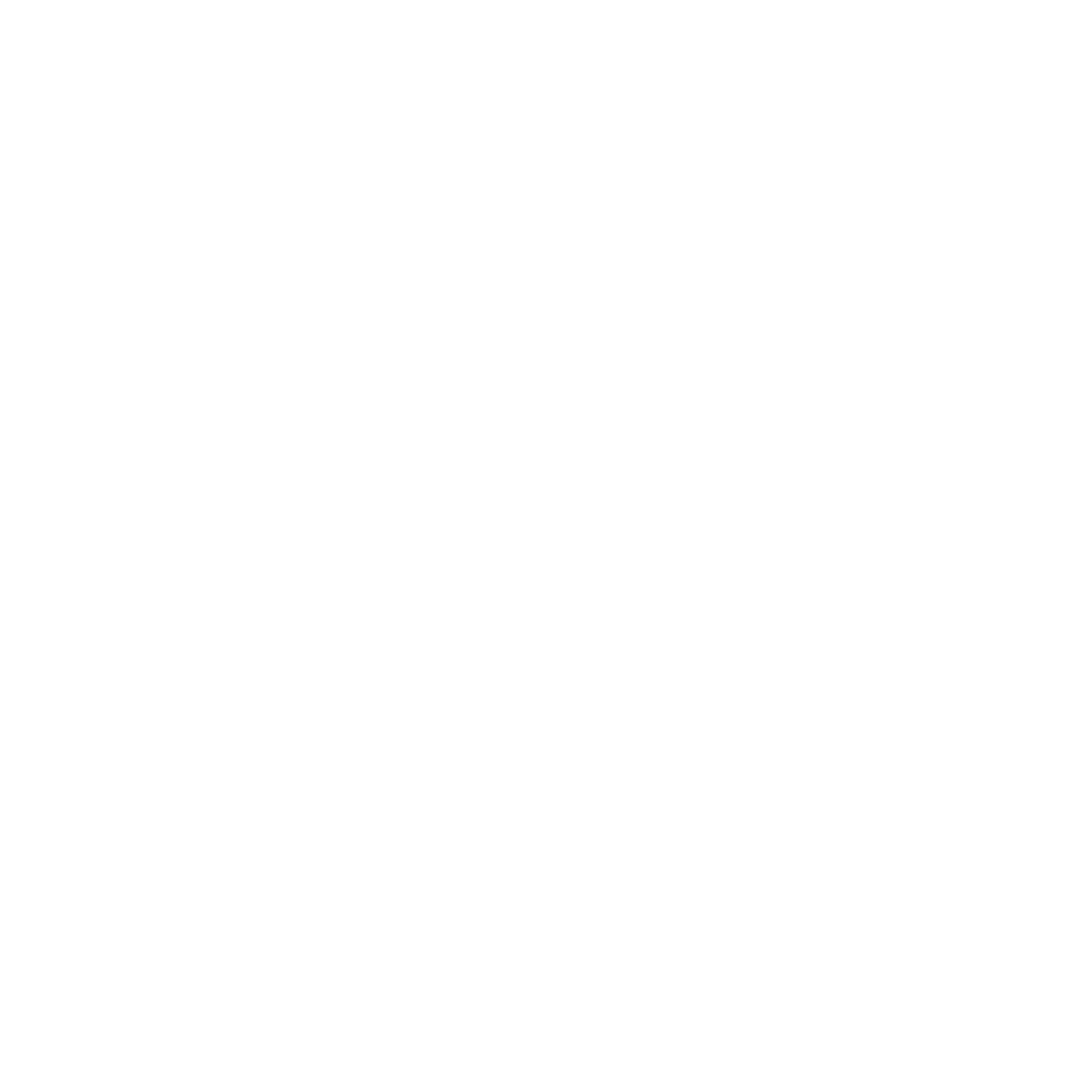 Consulenza Specializzata