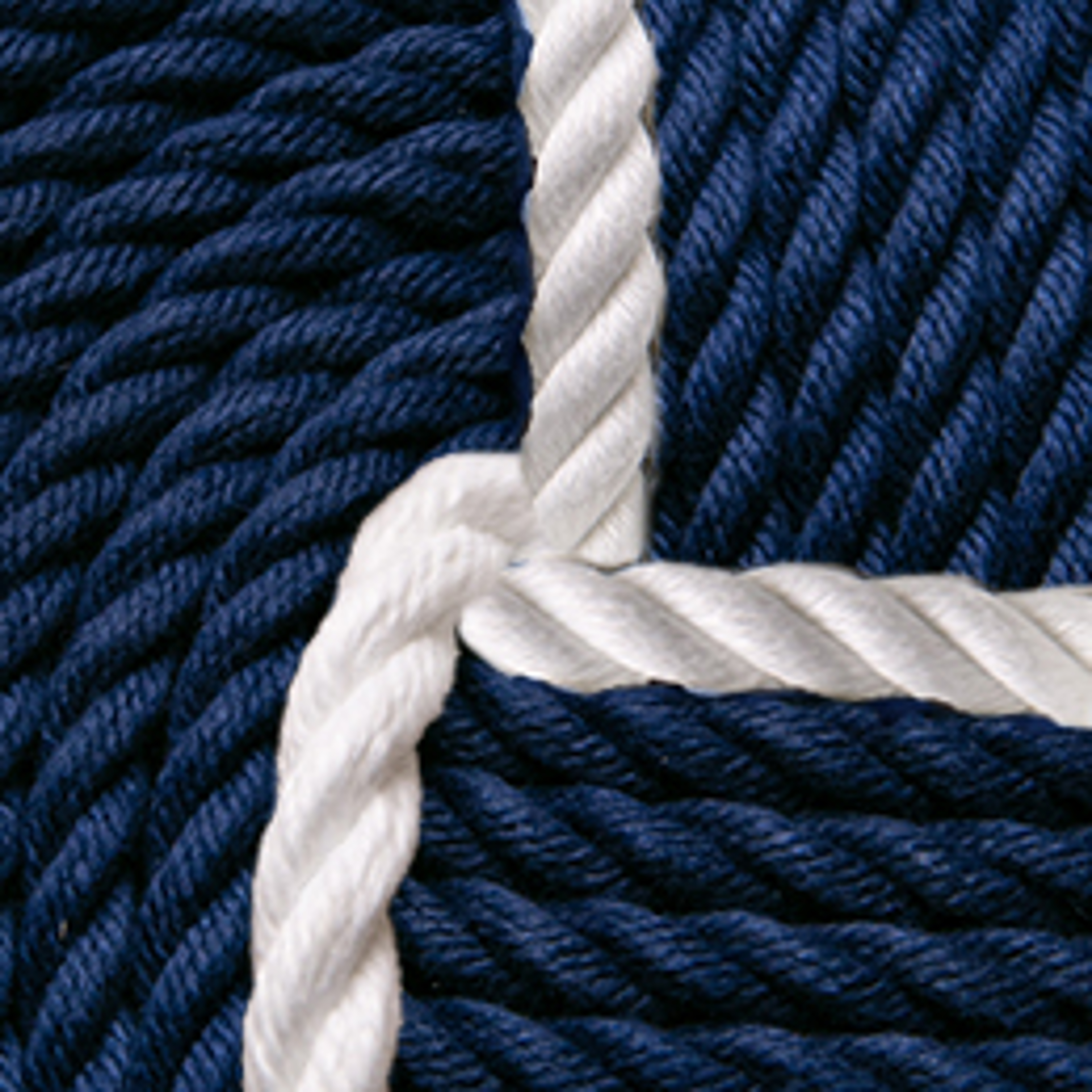 Blue / white