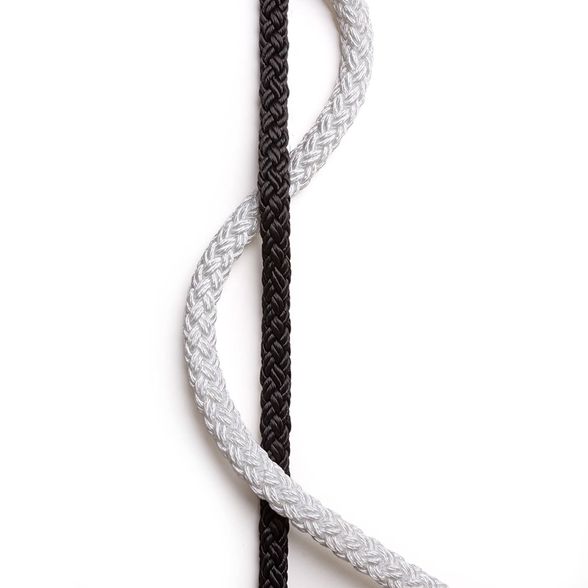 Img 4219 Ok 1024 (1)