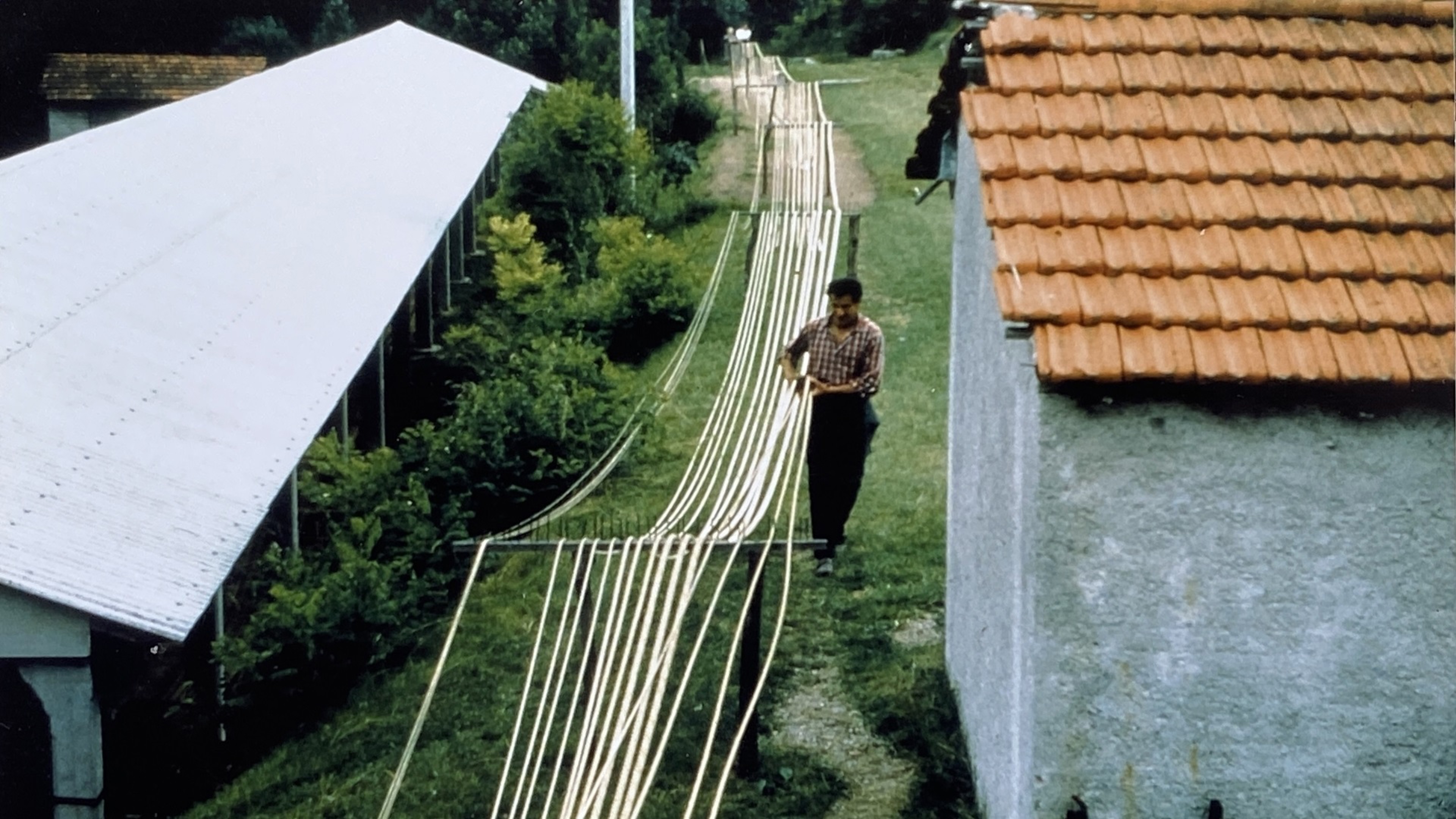Header Home 3