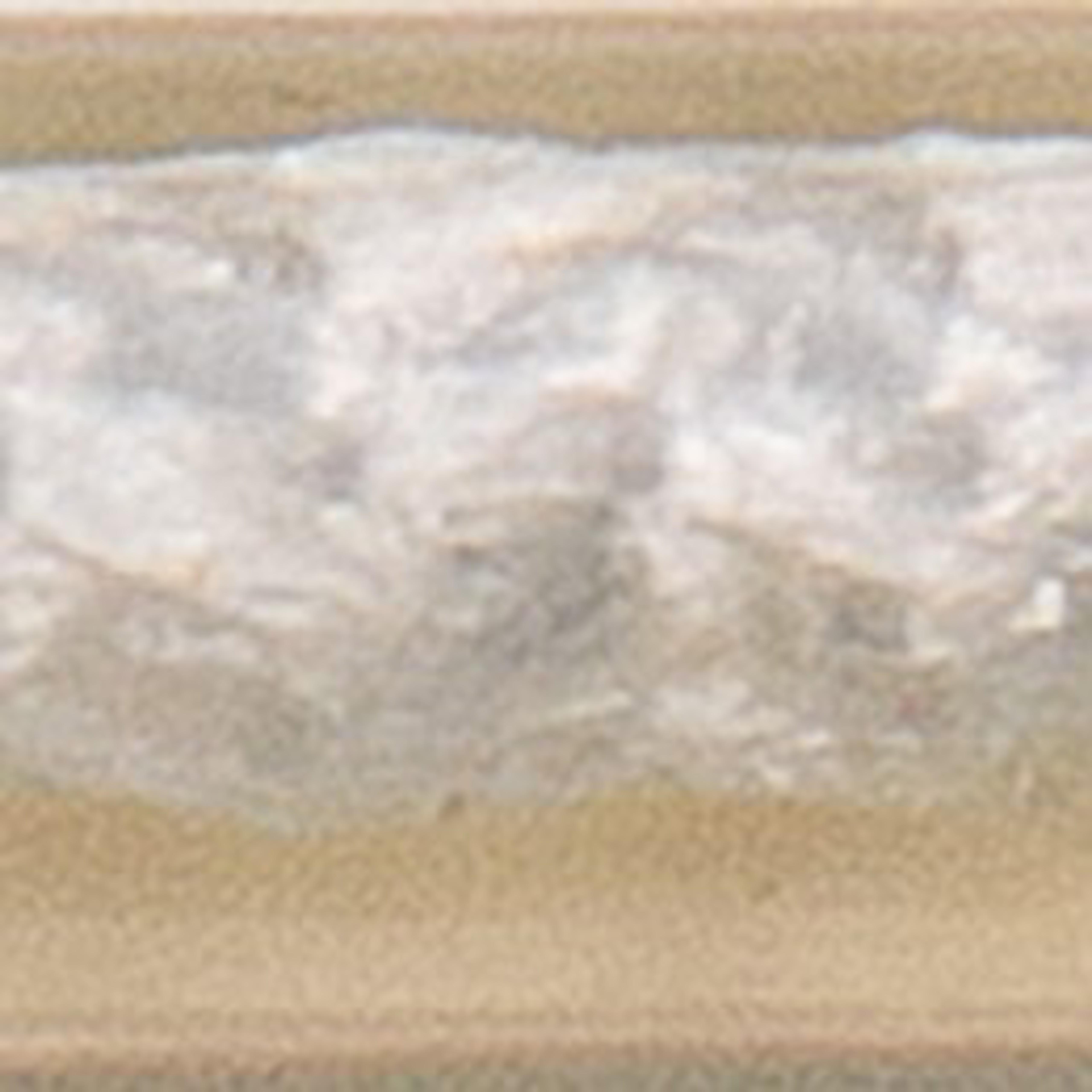 Transparent (coated braid)